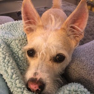 Meet your Posher, Kara